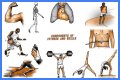 Single part of a gym exercise